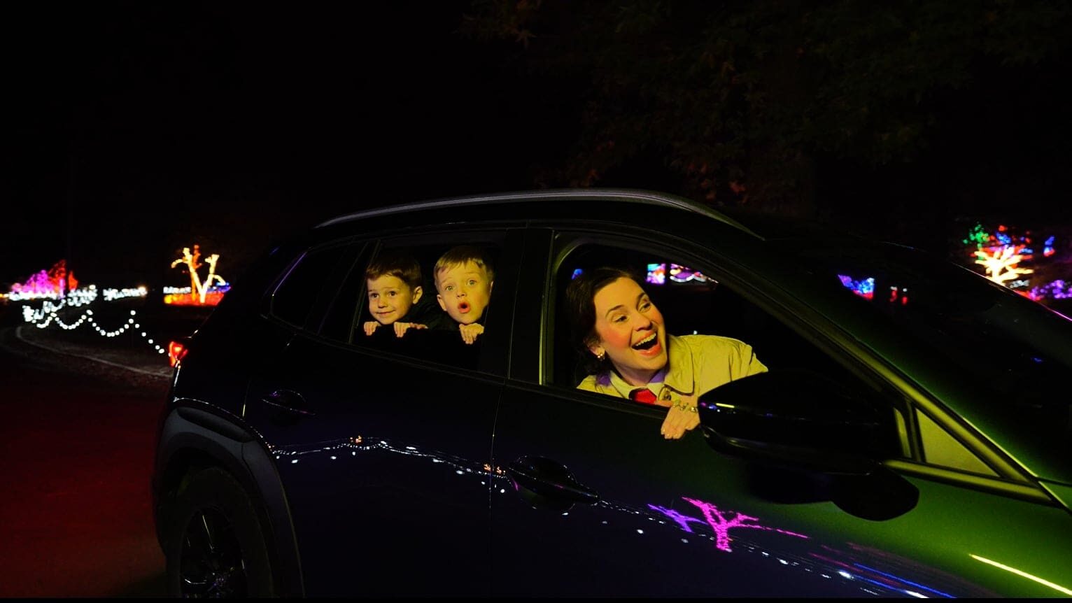 ccfe874a-0b31-4018-ad79-dcee8711c9bd